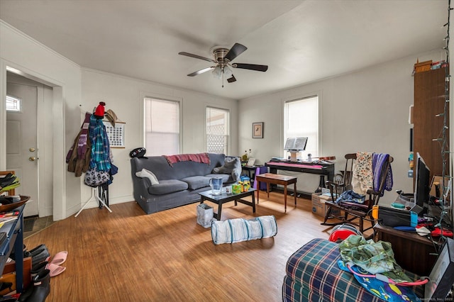 living area featuring a ceiling fan, crown molding, and wood finished floors