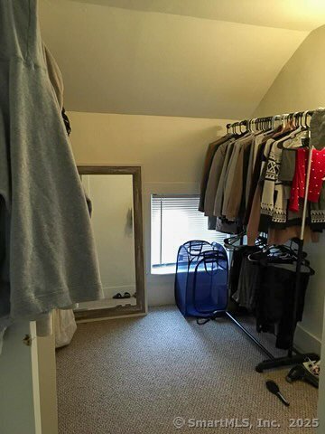 spacious closet featuring vaulted ceiling and carpet
