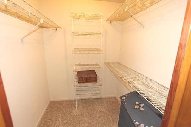 112 Paugassett Ln Unit 112, Shelton, CT 06484 - spacious closet with carpet floors