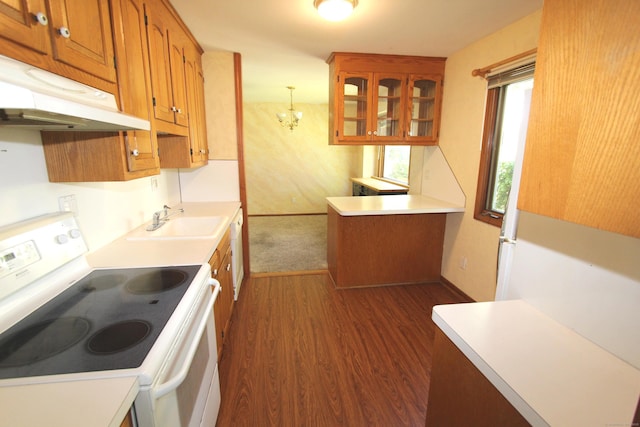 112 Paugassett Ln Unit 112, Shelton, CT 06484 - kitchen featuring white range with electric cooktop, a sink, under cabinet range hood, brown cabinetry, and dark wood-type flooring