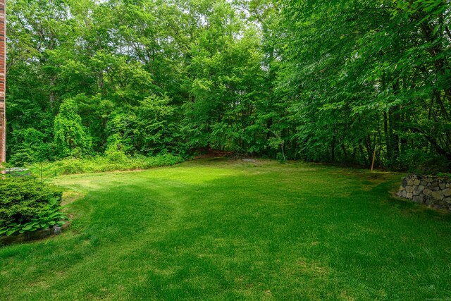 6 Beagle Trl, Newtown, CT 06482 - photo 26
