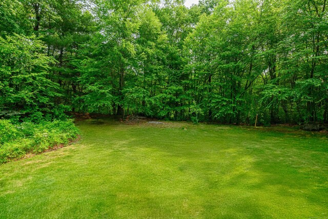 6 Beagle Trl, Newtown, CT 06482 - photo 28