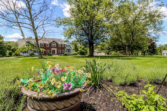 3 Huntington Ln, New Fairfield, CT 06812 - view of grassy yard