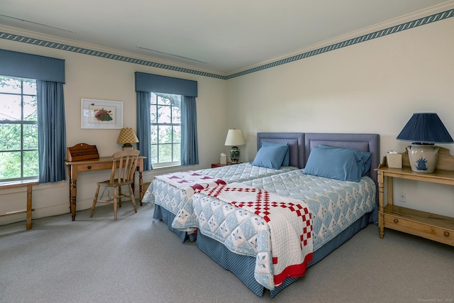 8 Bayberry Hl, Roxbury, CT 06783 - bedroom with multiple windows, ornamental molding, and carpet floors