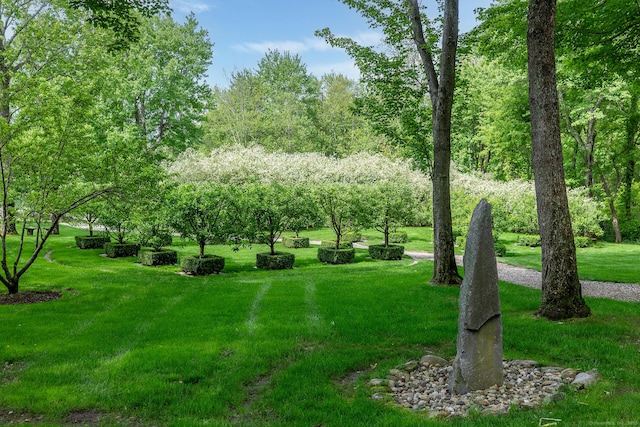 8 Bayberry Hl, Roxbury, CT 06783 - view of property's community with a lawn