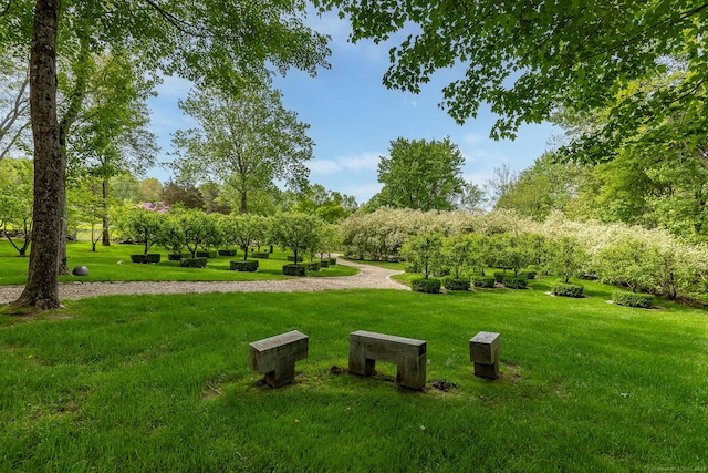 8 Bayberry Hl, Roxbury, CT 06783 - view of property's community with a lawn