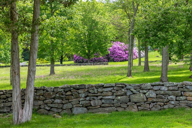 8 Bayberry Hl, Roxbury, CT 06783 - view of yard