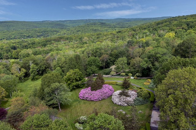 8 Bayberry Hl, Roxbury, CT 06783 - bird's eye view of a forest