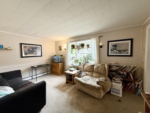 44 Red Bridge Rd, Thompson, CT 06255 - living room with baseboard heating, crown molding, and carpet floors