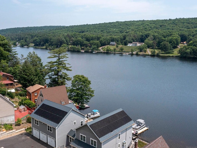 drone / aerial view with a water view and a wooded view