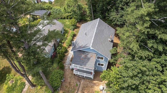 drone / aerial view