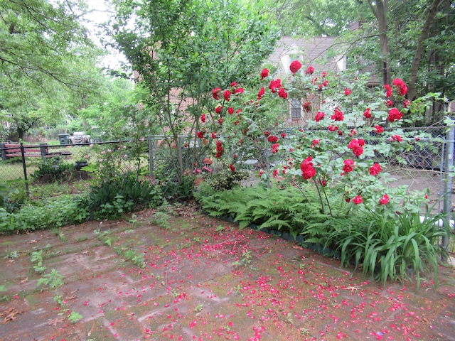 164 Flanders St, Bridgeport, CT 06604 - view of patio