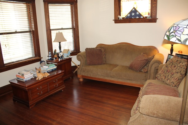 living area featuring wood-type flooring and a healthy amount of sunlight