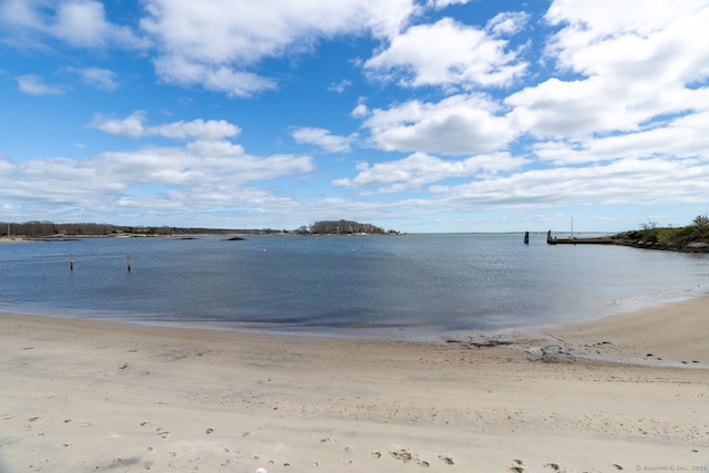 water view featuring a beach view