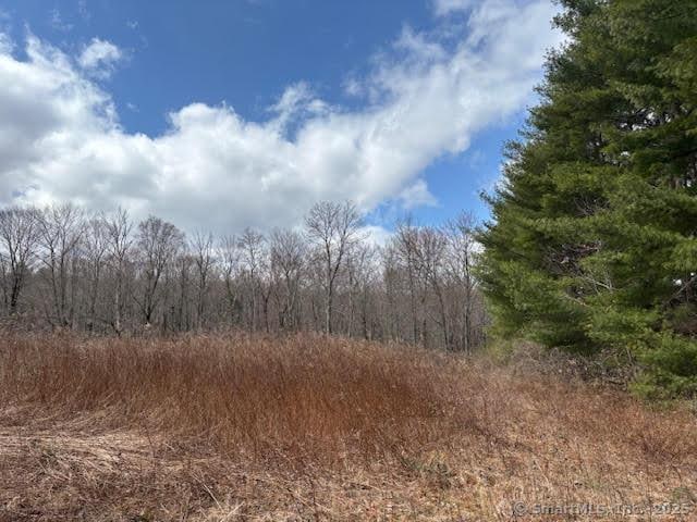 115 Mcbride Rd, Litchfield, CT 06759