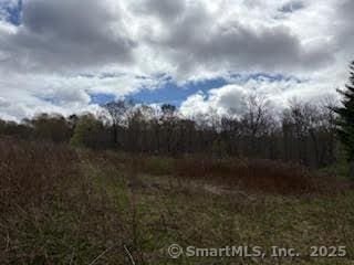 115 Mcbride Rd, Litchfield, CT 06759