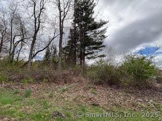 115 Mcbride Rd, Litchfield, CT 06759