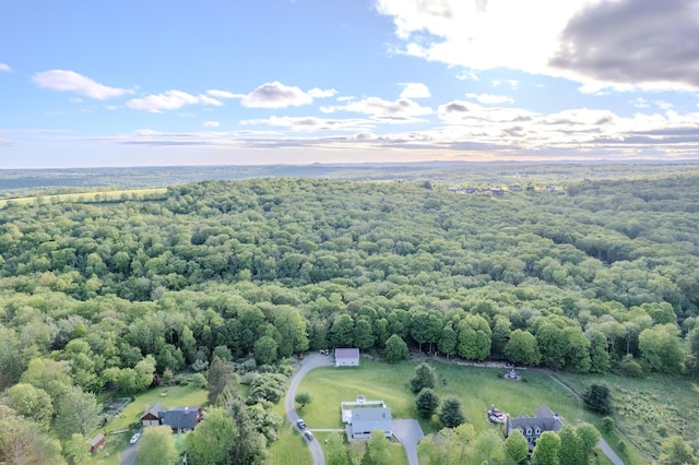 115 Mcbride Rd, Litchfield, CT 06759