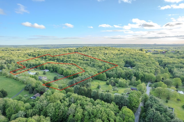 115 Mcbride Rd, Litchfield, CT 06759