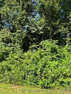 115 Mcbride Rd, Litchfield, CT 06759