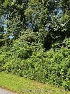 115 Mcbride Rd, Litchfield, CT 06759
