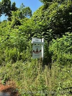 115 Mcbride Rd, Litchfield, CT 06759