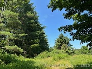115 Mcbride Rd, Litchfield, CT 06759