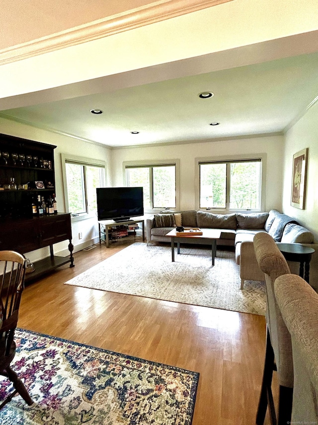 18 Paul St, Danbury, CT 06810 - living room with ornamental molding, wood finished floors, recessed lighting, and baseboards