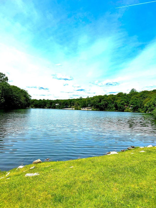 18 Paul St, Danbury, CT 06810 - water view