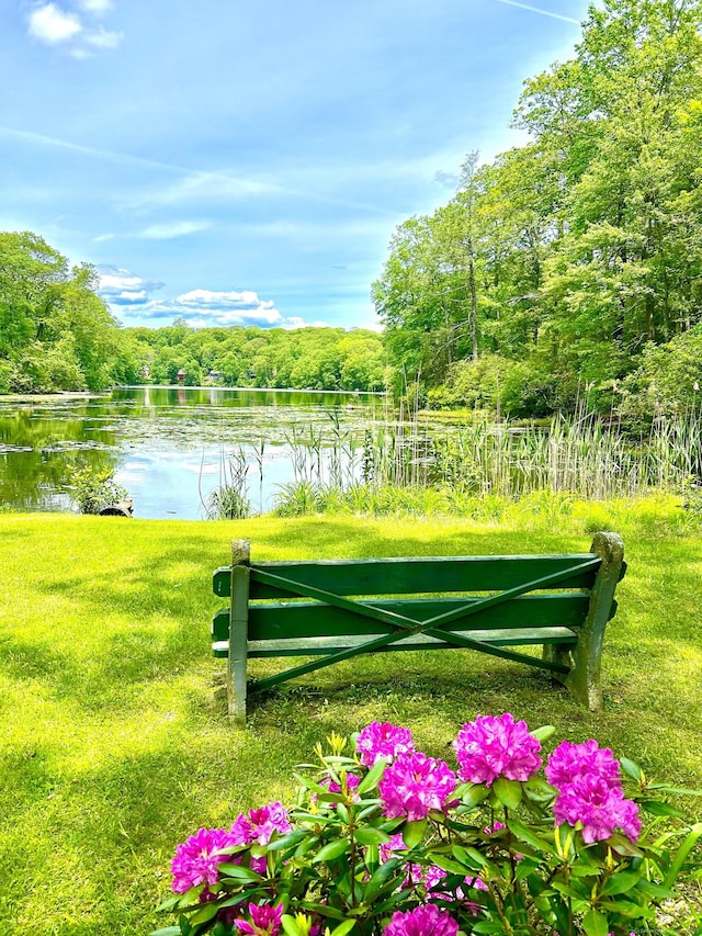 18 Paul St, Danbury, CT 06810 - view of green lawn with a water view and a forest view