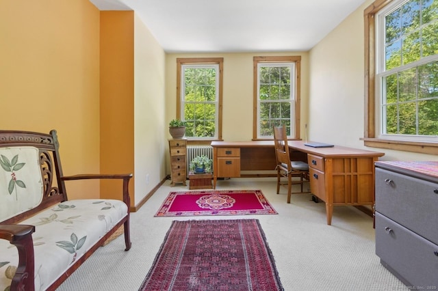 office space with carpet and radiator