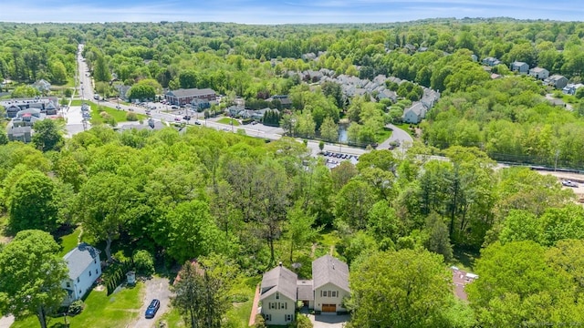 aerial view of a forest