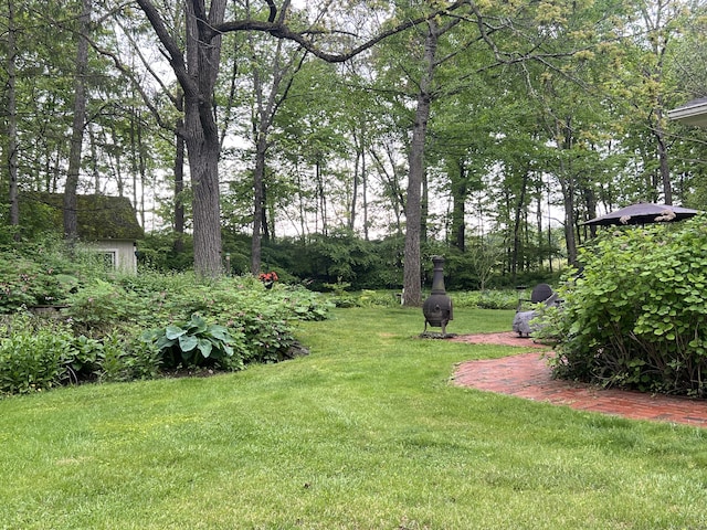 view of green lawn