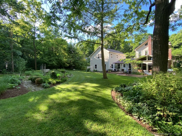 view of green lawn
