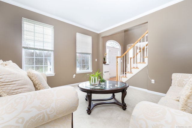 carpeted living area featuring baseboards, stairs, and crown molding