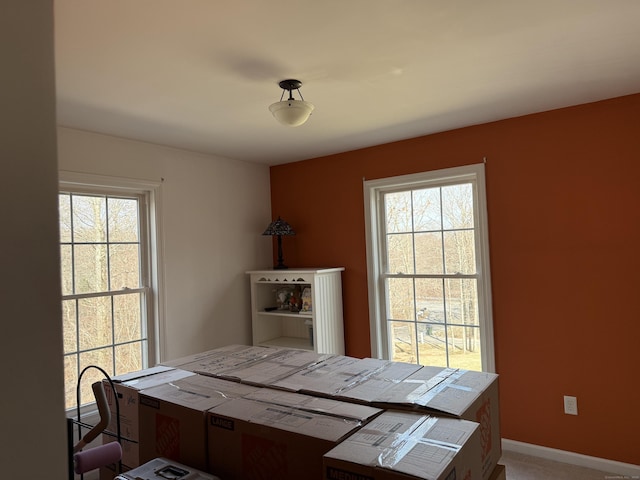 2 Anita Way, Warren, CT 06754 - view of carpeted office