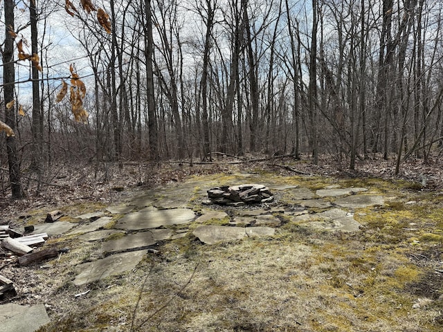 2 Anita Way, Warren, CT 06754 - view of yard