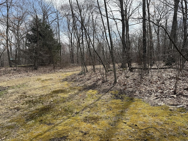 2 Anita Way, Warren, CT 06754 - view of undeveloped land