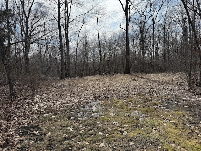 2 Anita Way, Warren, CT 06754 - view of undeveloped land