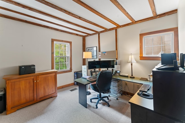 11 Glen Rd, Newtown, CT 06482 - office space featuring light carpet