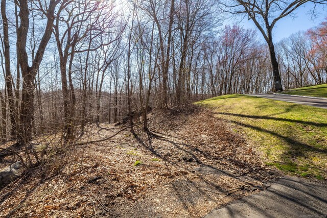 574 Washington Rd, Plymouth, CT 06786 - photo 2
