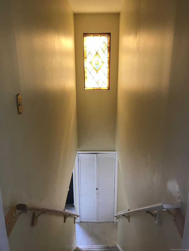 stairs with carpet floors