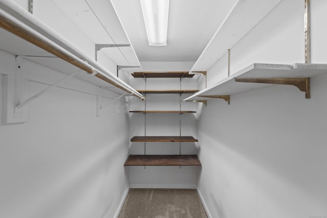 136 Pembroke Rd Unit 6-49, Danbury, CT 06811 - walk in closet featuring carpet