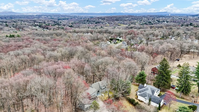 bird's eye view with a forest view
