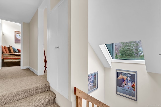 stairway featuring carpet floors, a skylight, and baseboards