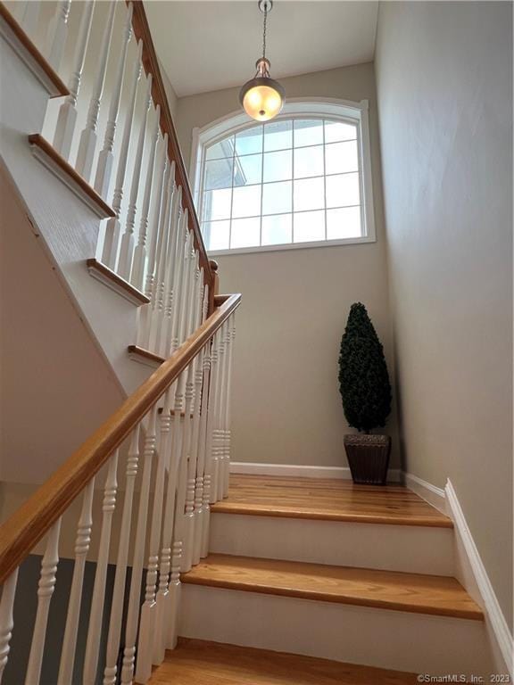 21 Old Oak Dr Unit 21, Brookfield, CT 06804 - stairs with wood finished floors and baseboards