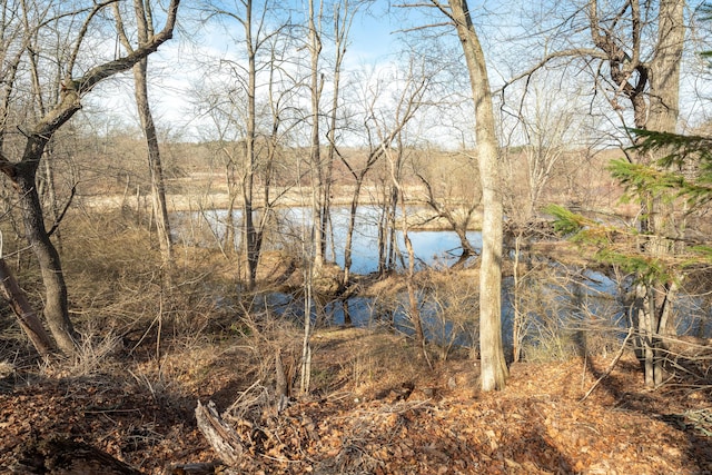 574 Fabyan Rd, Thompson, CT 06255 - view of water feature