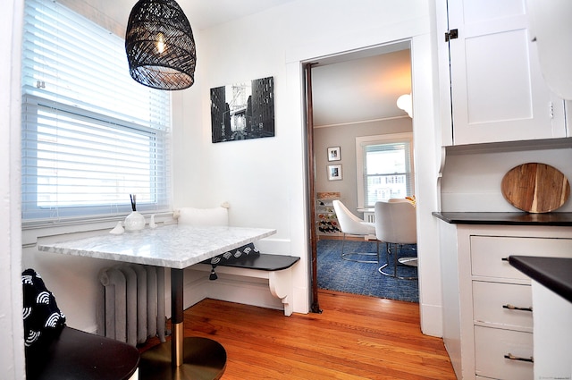 1186 Farmington Ave, West Hartford, CT 06107 - dining room with light wood finished floors and radiator