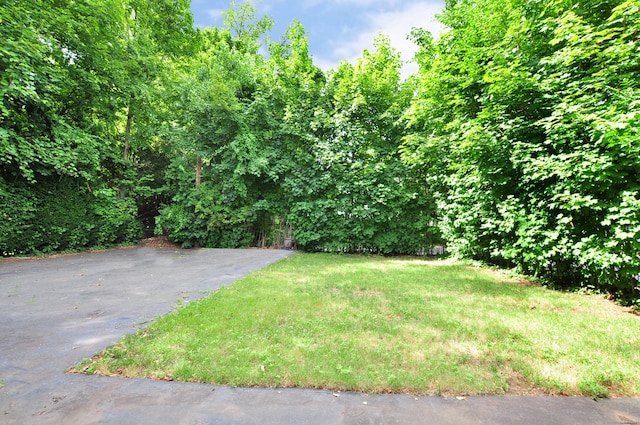 27 Brook St, New Britain, CT 06051 - view of grassy yard