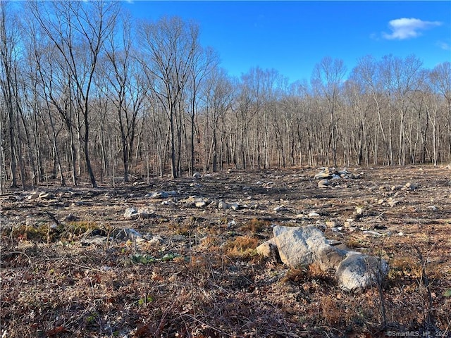 54 Northrop Rd, Woodbridge, CT 06525